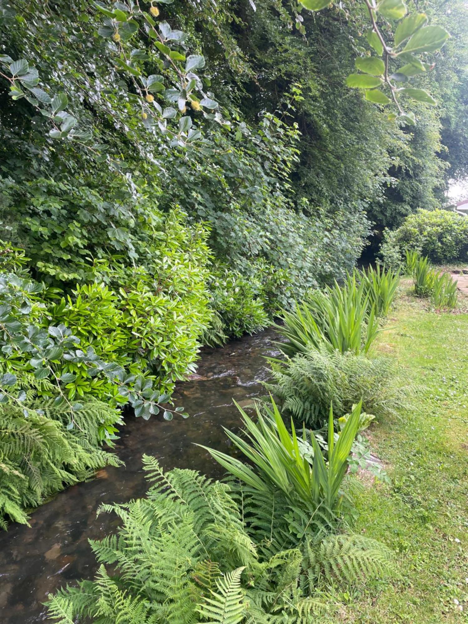 Beekeepers Holiday home Liskeard